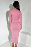 Elegant Solid Round Neck Long Sleeve Slinky Maxi Dress