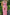 KATCH ME Pink Floral Print Spaghetti Straps Backless Maxi Dress Dress 